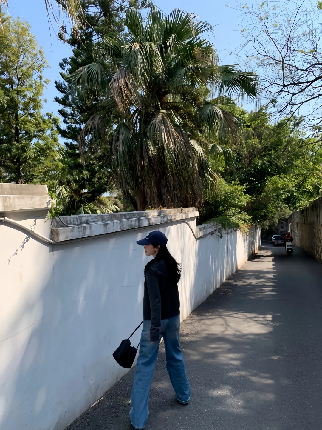 🫶🏻🫧🐕好天气！