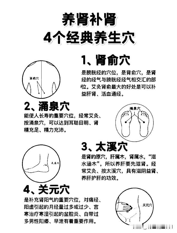 养肾补肾，这四个经典养生穴你必须知道！

在现代社会，随着生活节奏的加快和工作压