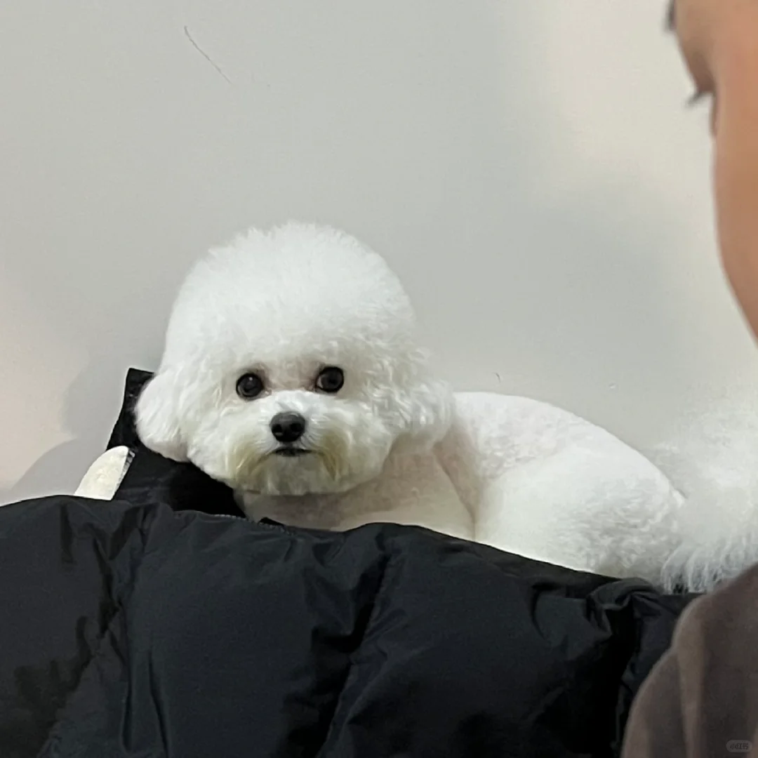邪恶摇粒绒