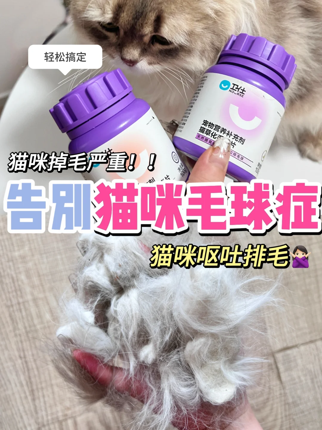 天热掉毛严重请注意！小心猫咪毛球症