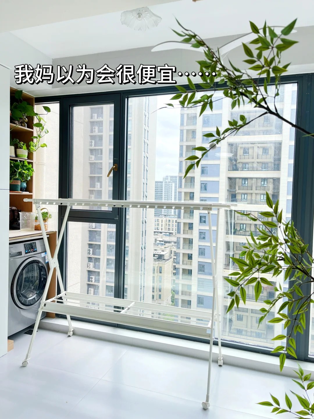 300W的房子，5分💰的窗景~