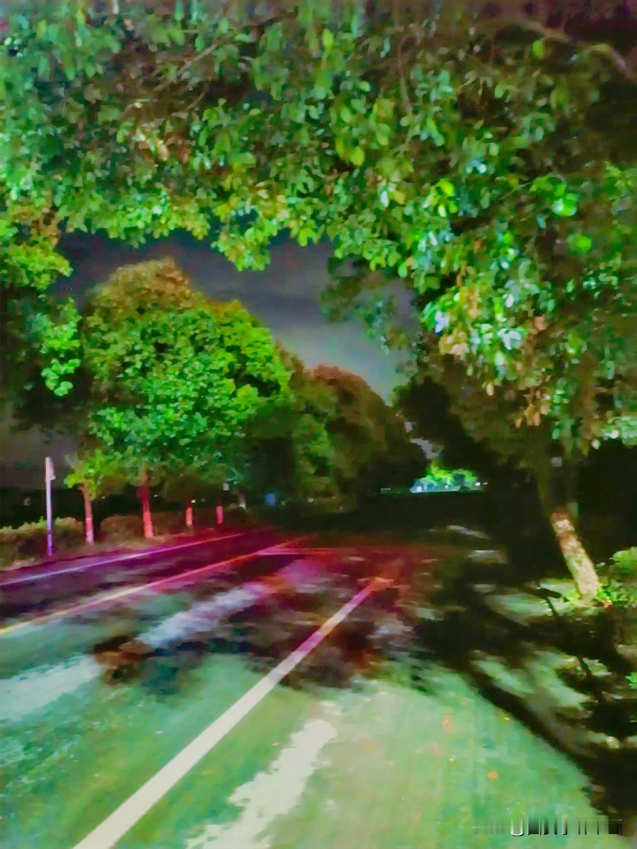 《汉中城固公路风景（李林4月21日晚摄）》