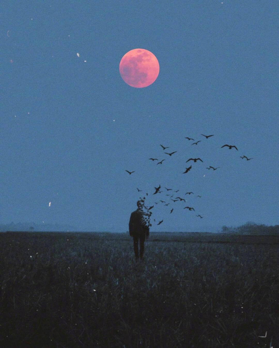 人不能十年如一日，让自己感到快乐的内容，从未被改变过。真实的成长，就去看看自己的