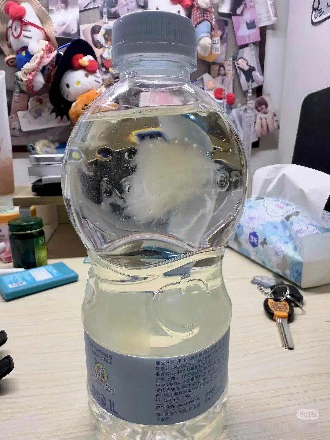 这一瓶好像要卖9块多将近10块（叠个马甲是助农产品哦） 
