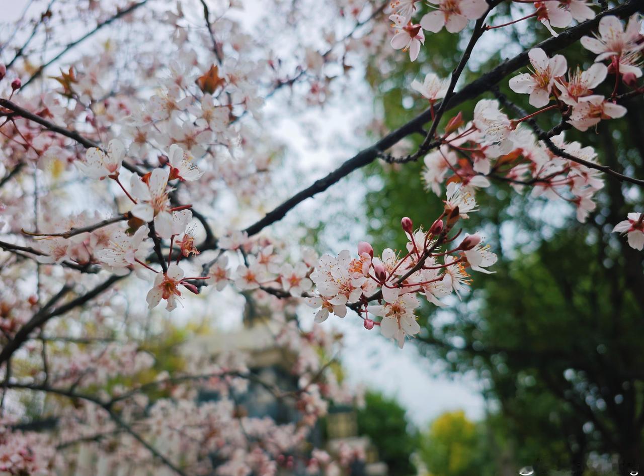 今年冬天实在是太热了。厚羽绒服根本没拿出来，一次都没穿，更别说买厚的了。像春秋天