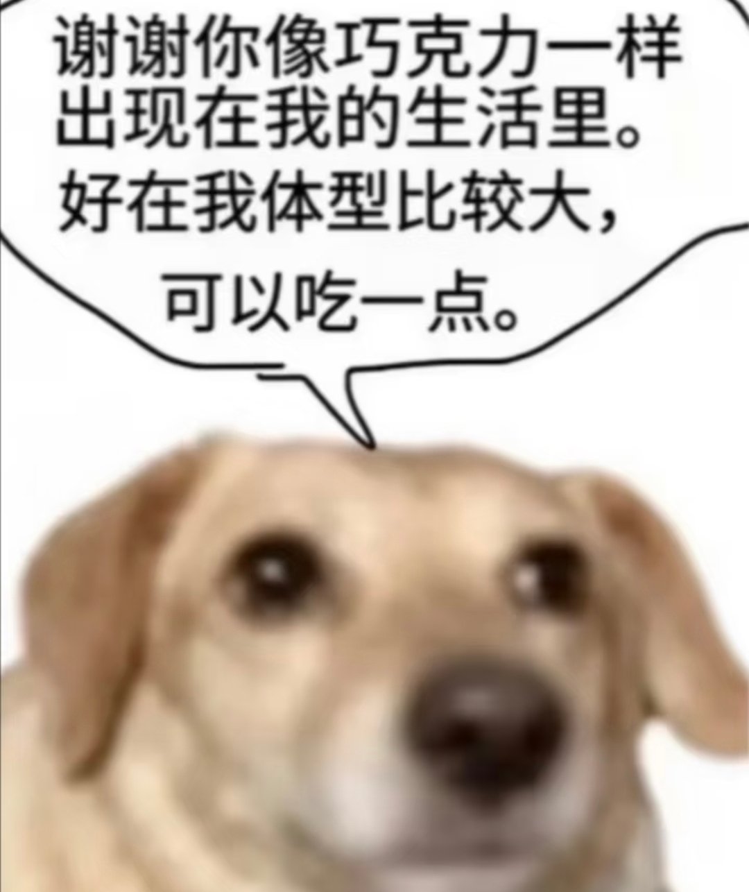 宋芋圆你是一块美味苦巧 