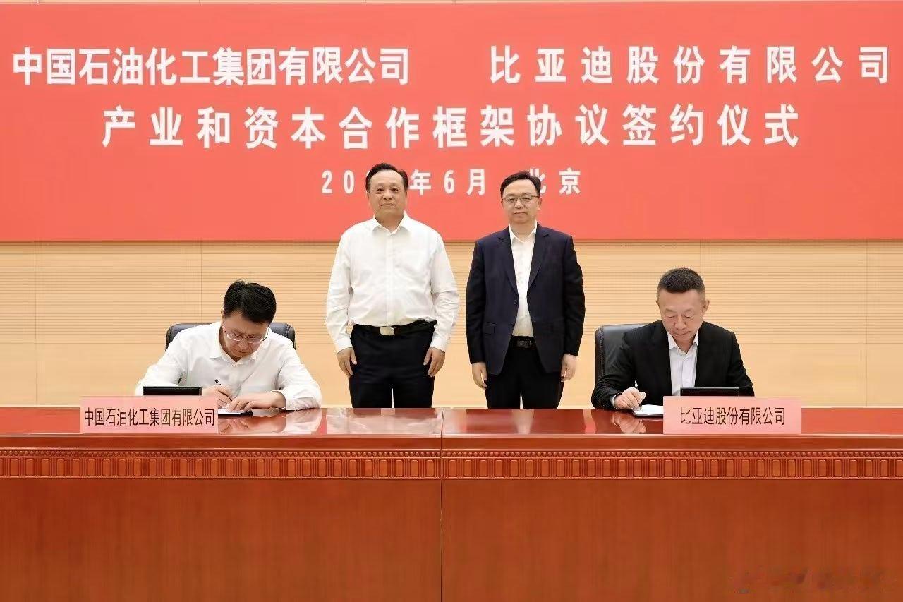 加油站放闪充桩，看一下充电快还是加油快比亚迪