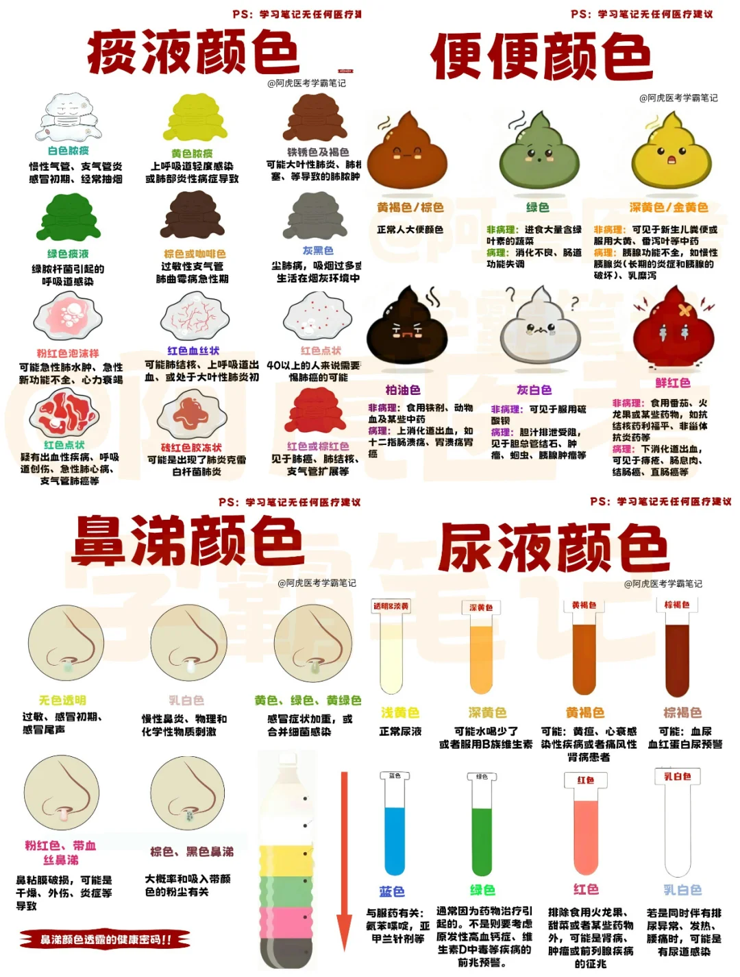 医学生笔记📒｜不同分泌物的颜色👆