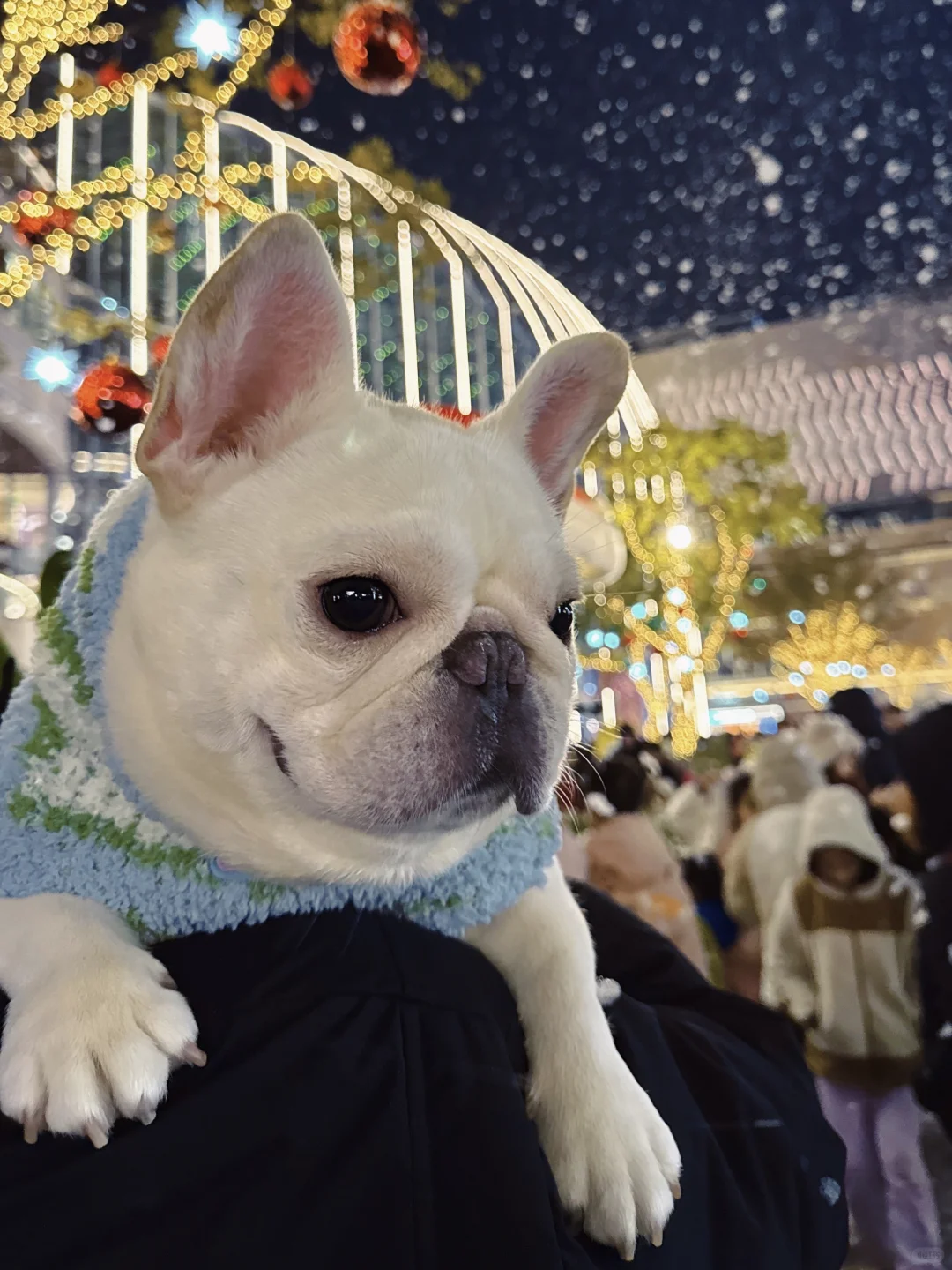 下雪的圣诞，我在重庆很想你🎄