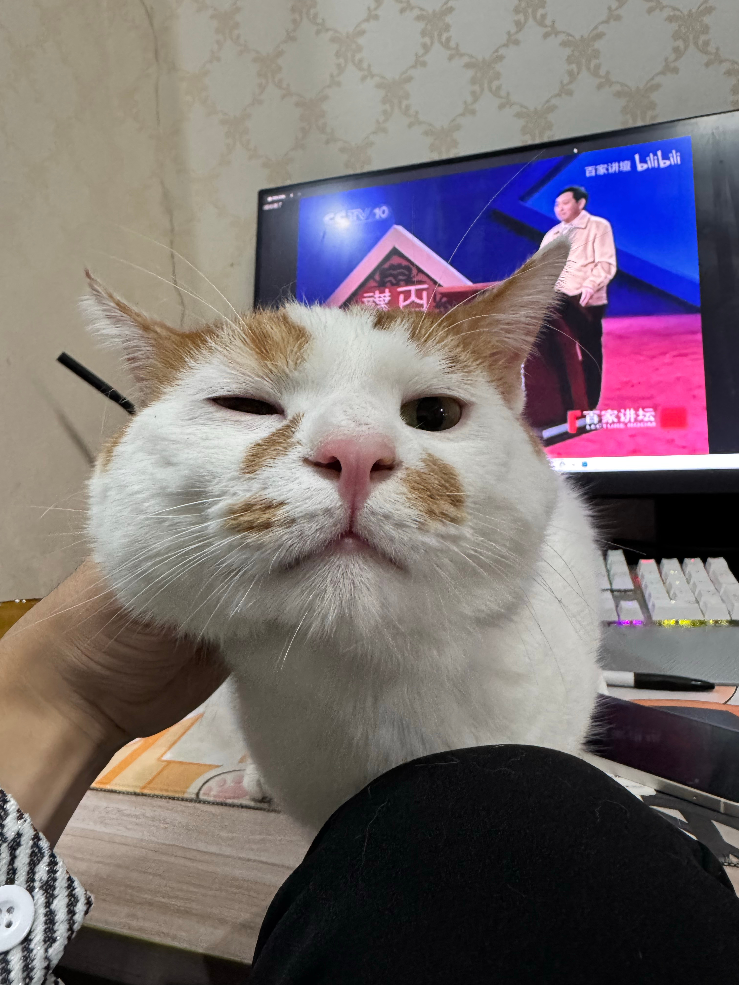 来找我玩又想走 ​​​