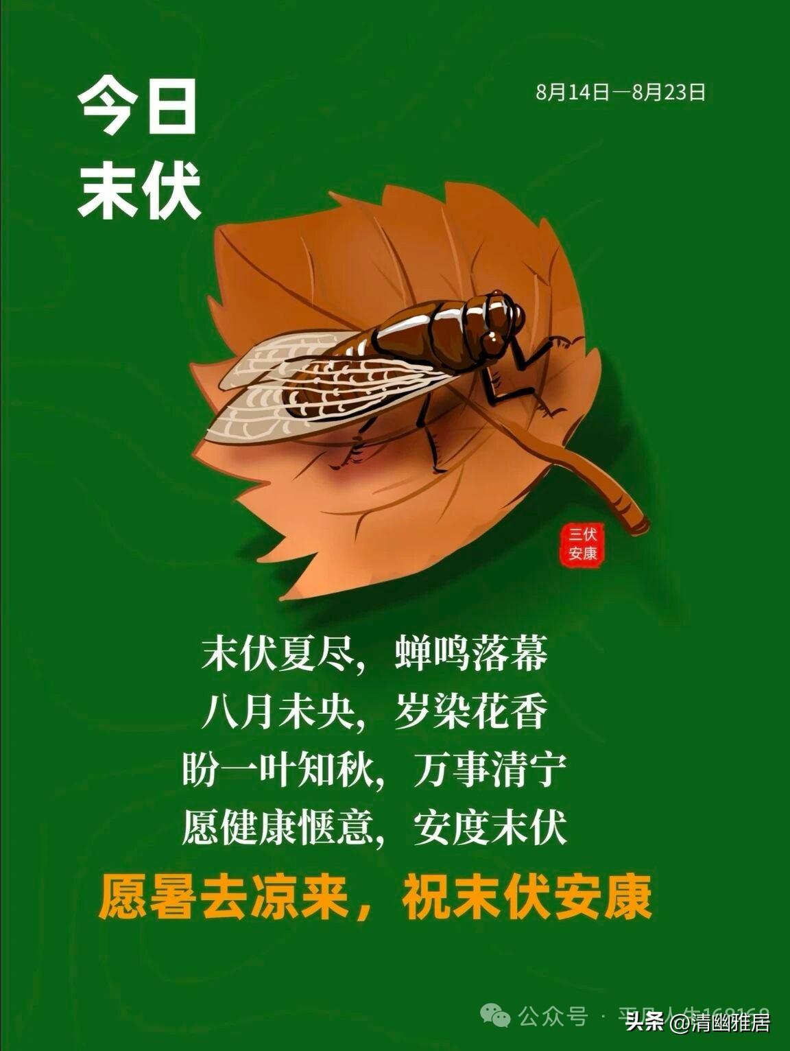 不过这场雨还没完，明天后天都有可能下雨。赶紧的给沈阳下点雨吧，大地旱的不行了，再