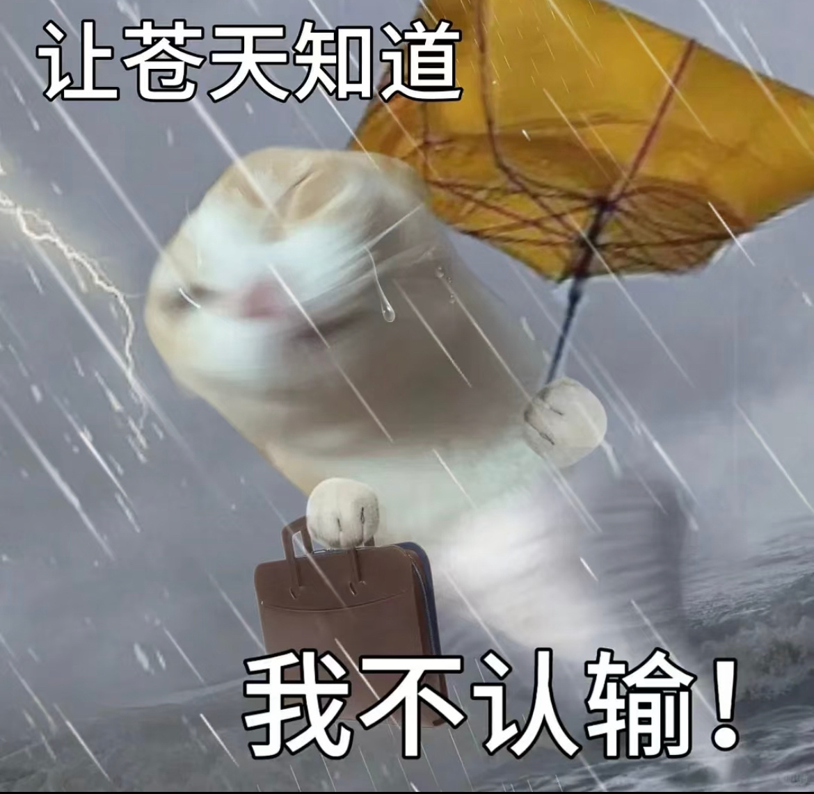 北京开学首日迎降雪北京有间歇性小雪或雨夹雪上班又开学，小雨夹小雪，这次周一开学季