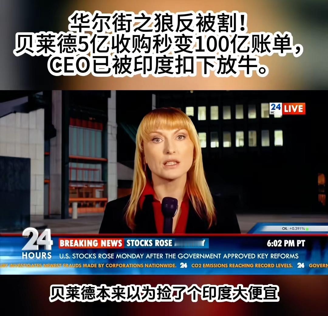 印度商战喜剧片，华尔街之狼亏大了。
（如图所示）号称华尔街之狼的美国公司，本来以