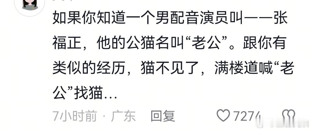 猫找到了 脸也丢光了哈哈哈 