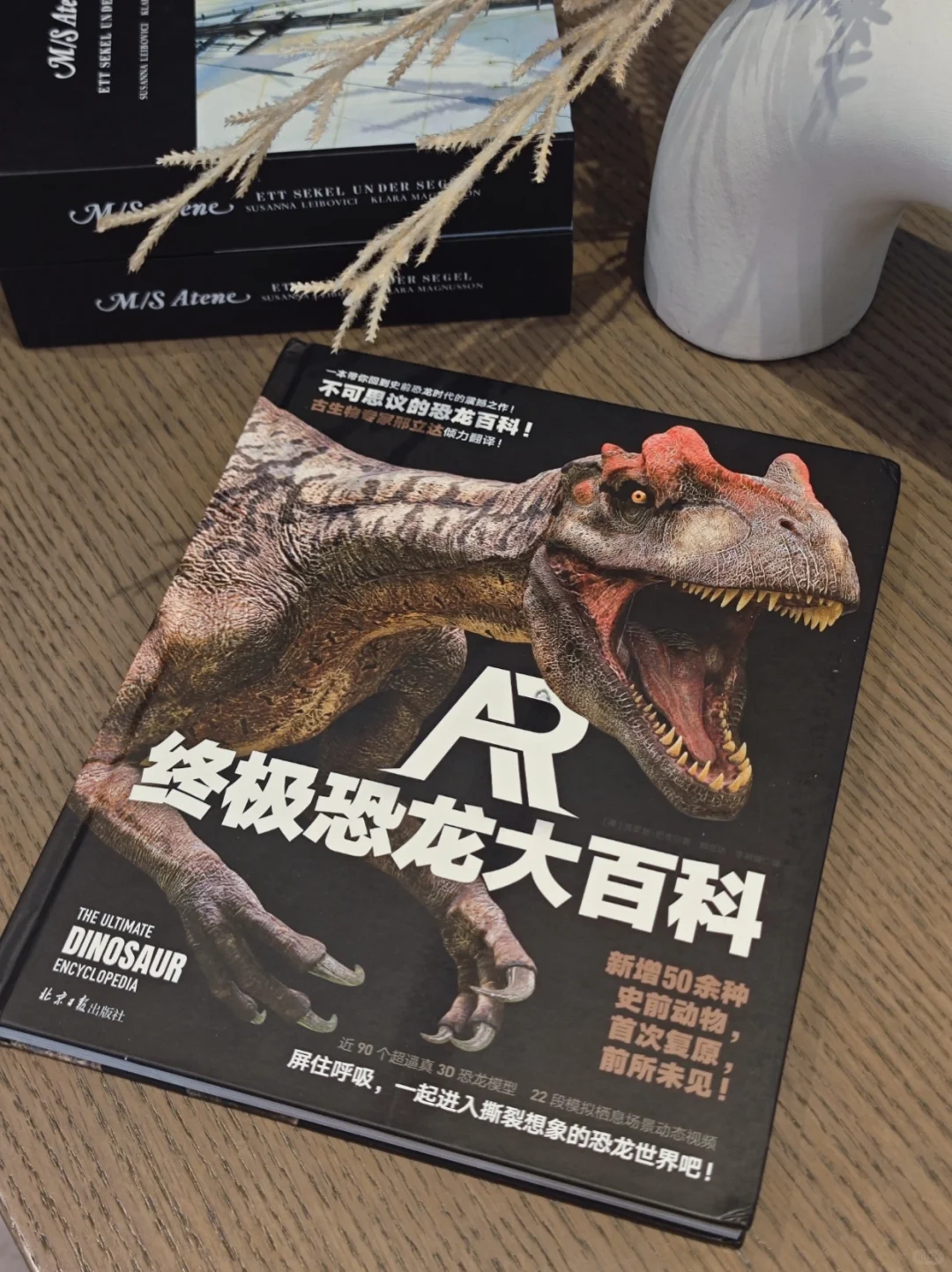 超震撼的恐龙百科！每个男孩都要拥有一本～