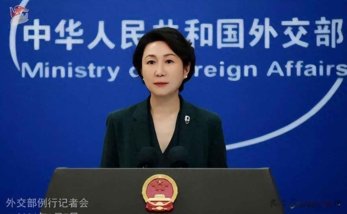 G7财长开会提出减少进口中国稀土，第二天中国外交部回应说全球矿产链需要各国共同维