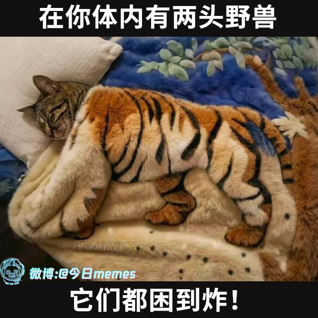 我等会醒（9gag）今日meme 今日memes