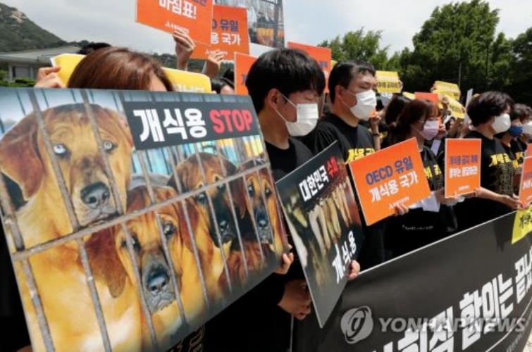 今天是挺狗派的大日子。首尔，韩国国会正式通过禁食狗肉的法案。 吃狗坐牢3年以下，