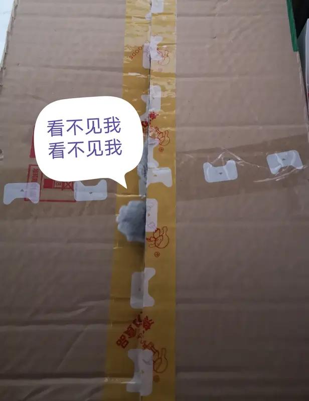 “要不要送到你床上”，广东女子称要求快递送上门未果，反馈情况后晚上收到的快递箱上