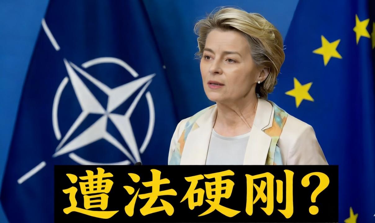 援乌变“退盟”导火索？
法国一句话，欧盟分裂进入倒计时。

欧盟援乌彻底闹崩，法