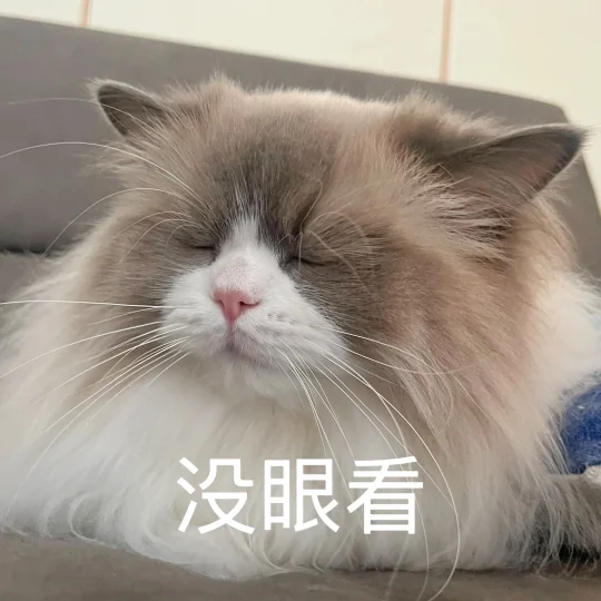 🐱：淡淡的 就很好