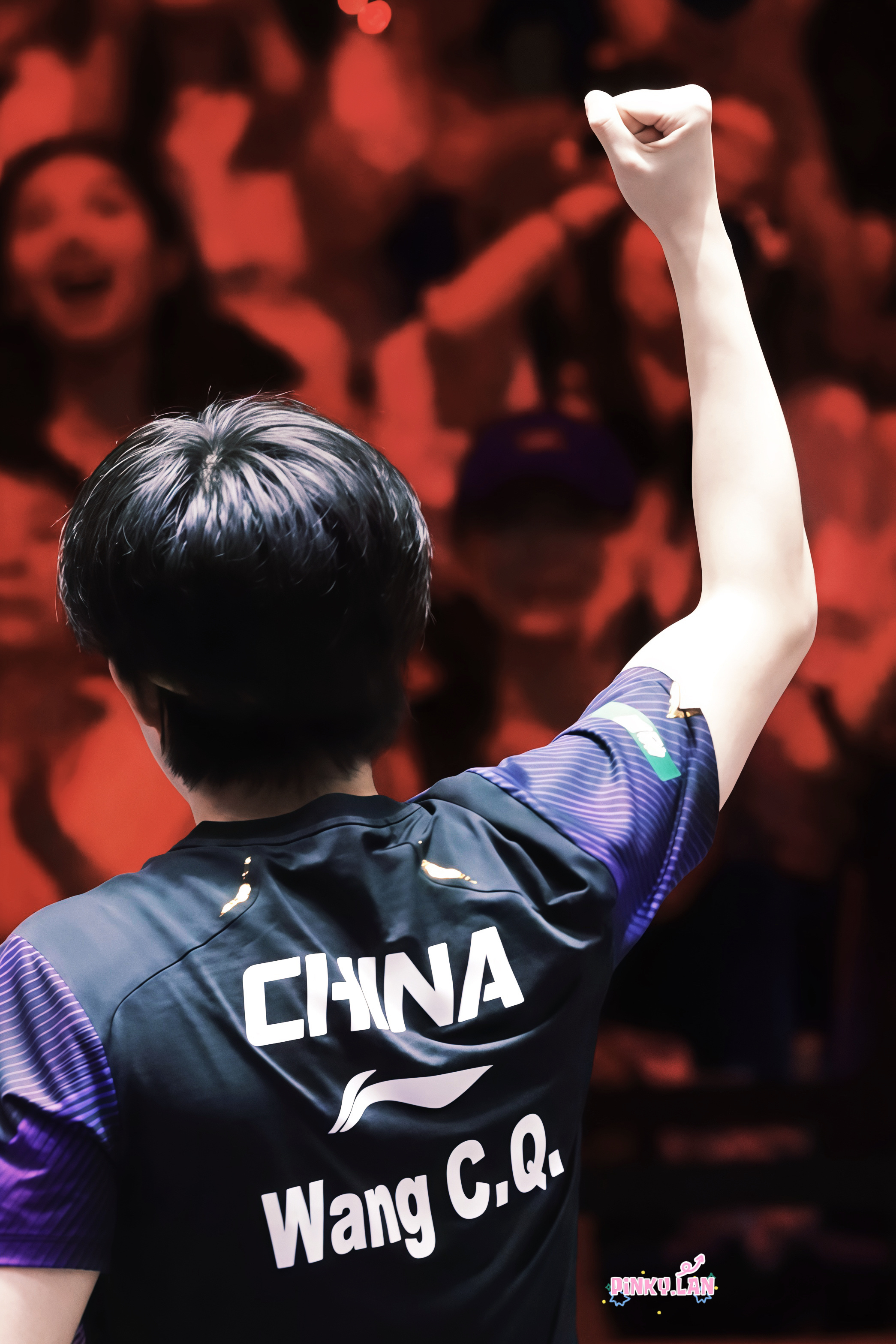 就這樣決賽加油！王楚钦加油王楚钦