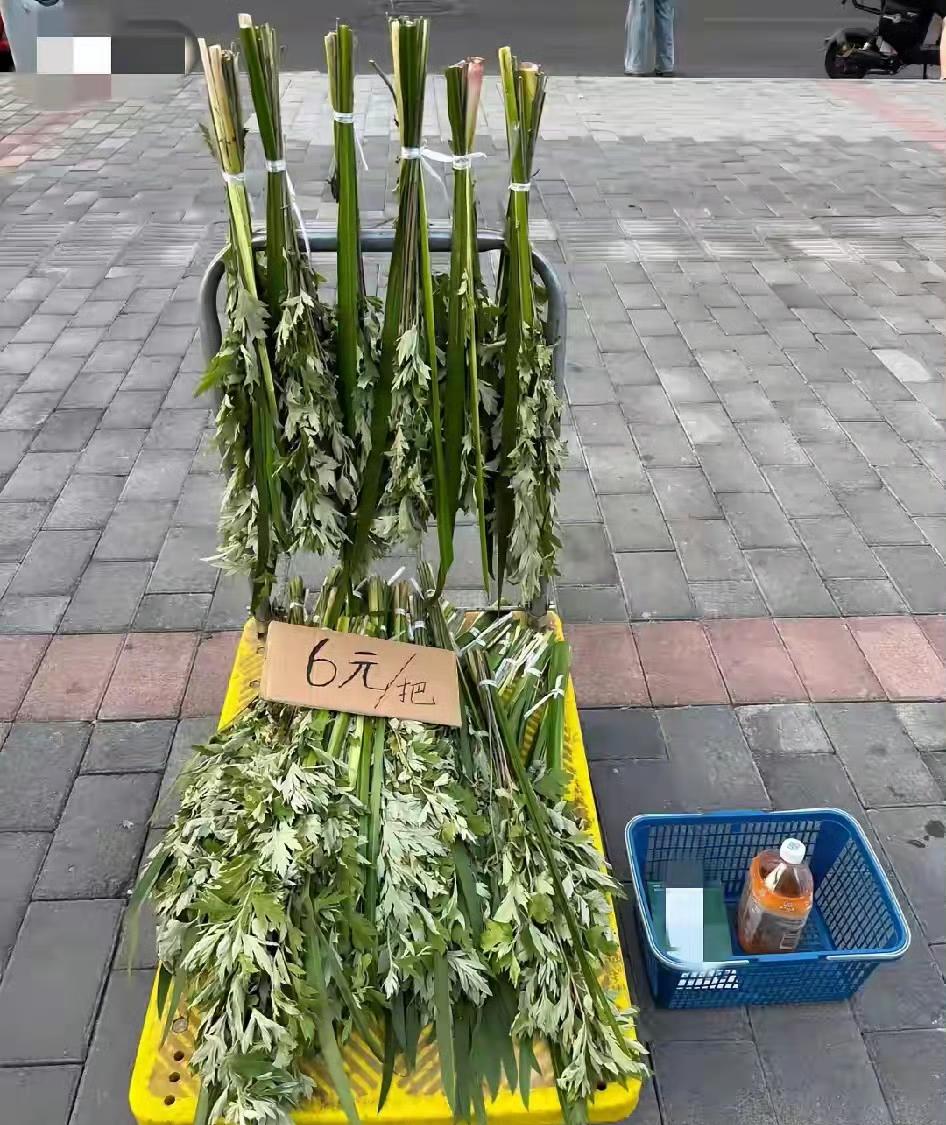 端午节，网友上山割了艾草和菖蒲，早上拿去菜市场门口卖，六块一把，结果四个多小时，