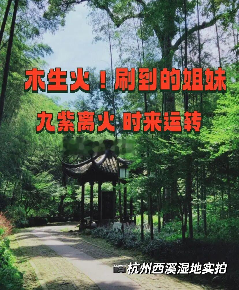 如果你相信……