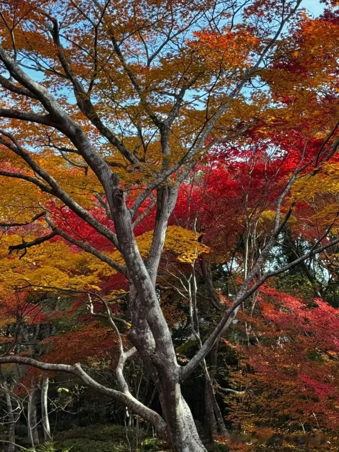 活到一定年纪才慢慢明白，成年人的社交，最高级的智慧从来不是“快意恩仇”，而是“适