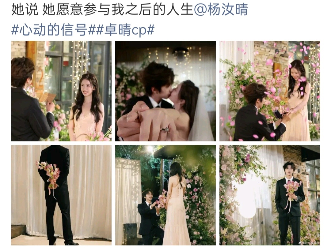 侯卓成求婚杨汝晴啊啊啊求婚了杨姐好美，这个真是我cp也只剩这对还好好的了，幸福久