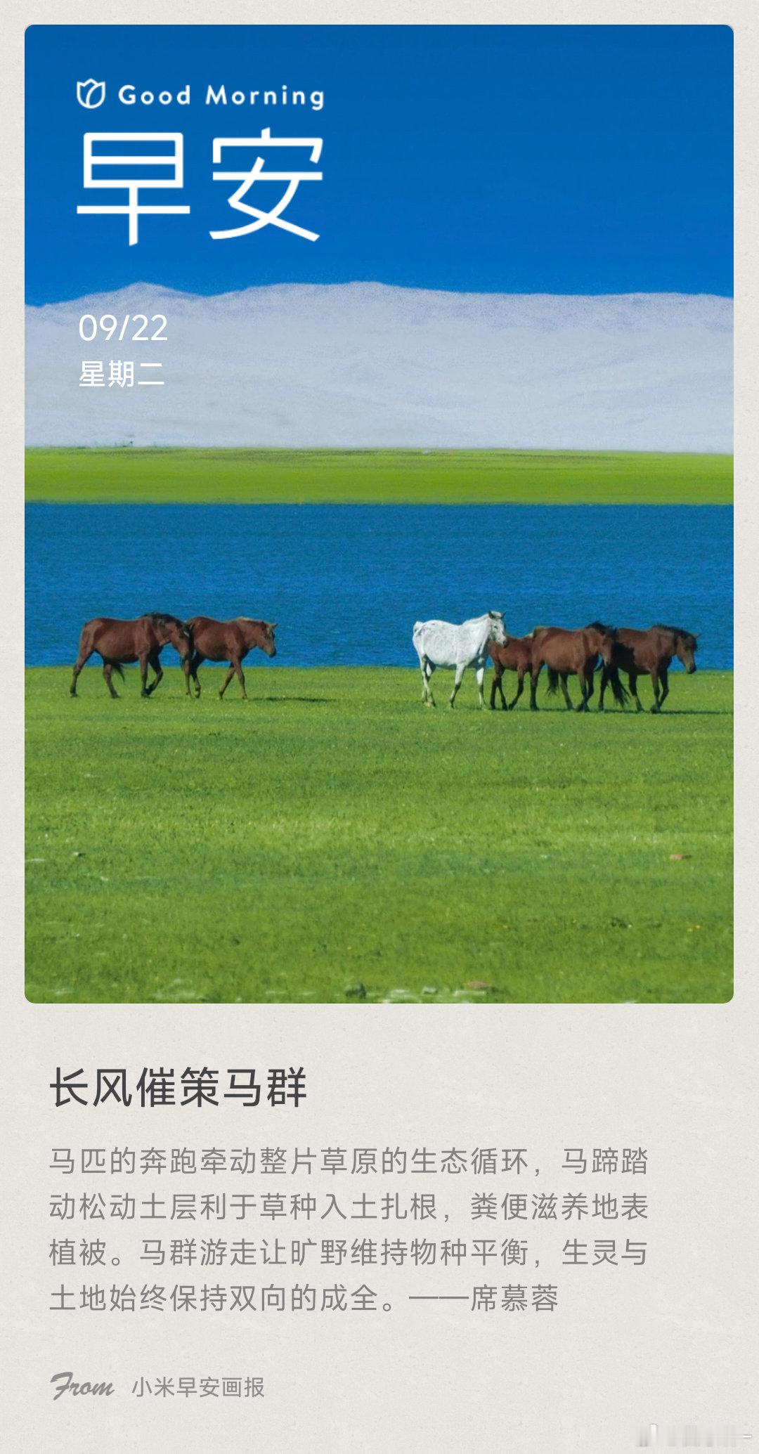 长风催策马群： 马匹的奔跑牵动整片草原的生态循环，马蹄踏动松动土层利于草种入土扎