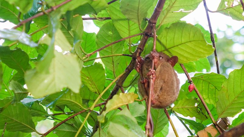 柑橘类水果酸甜多汁、价格实惠，是果盘常客，西柚更是老少皆宜。但吃药时可千万别吃它