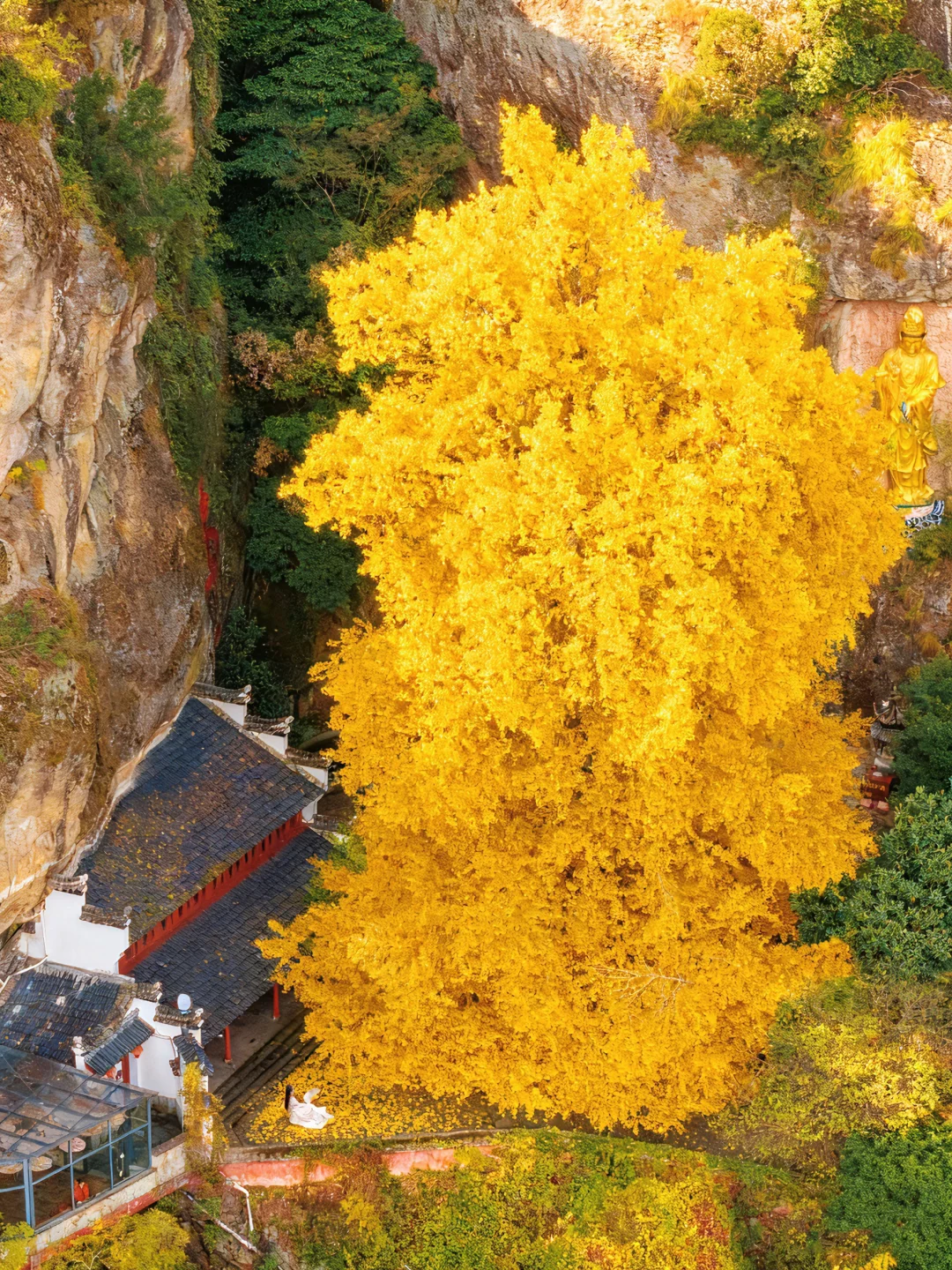杭州被严重低估的冷门小城🍂只有1%人去过