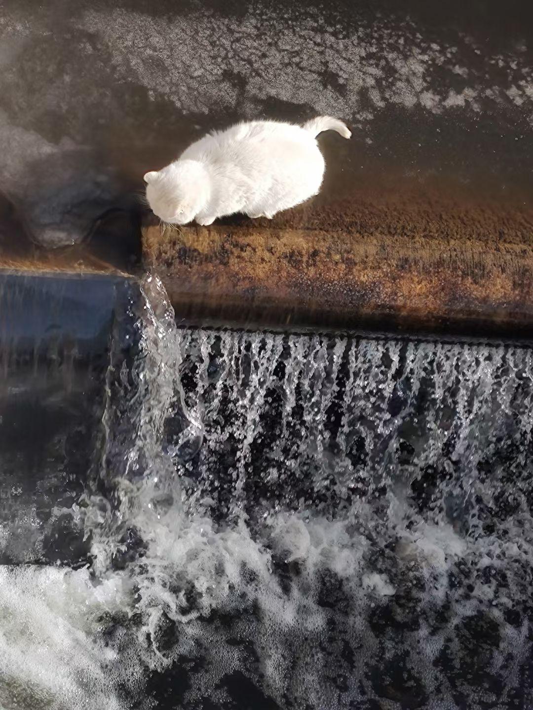 冬日生活打卡季