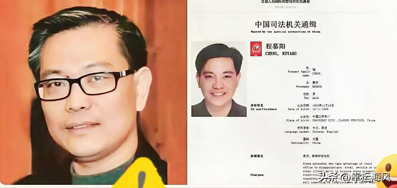 温哥华那帮“老赖”，今晚怕是要集体失眠。

中加签了打击跨国犯罪的协议，这信号太