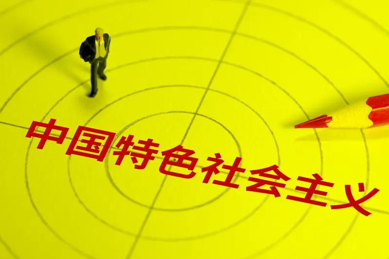 中国特色社会主义确实是以公有制为主体、多种所有制经济共同发展。这是建设中国特色社