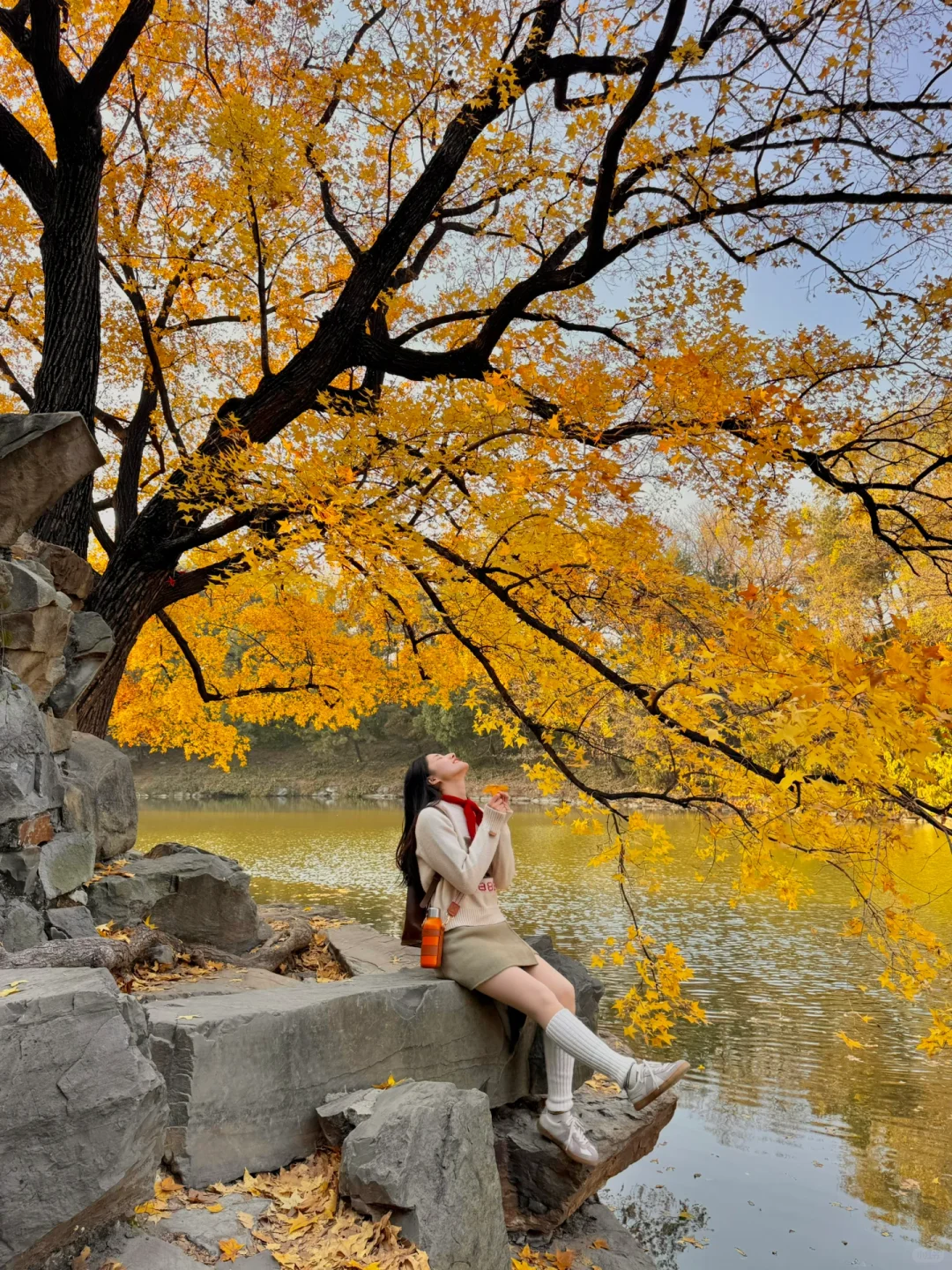 11.7live实拍｜颐和园后湖已是封神的存在🍂