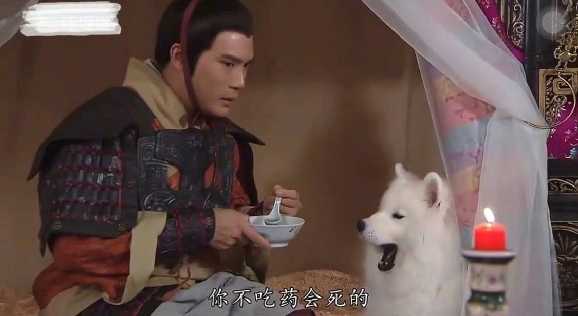 萨摩耶演哮天犬我是没想到的 ​​​