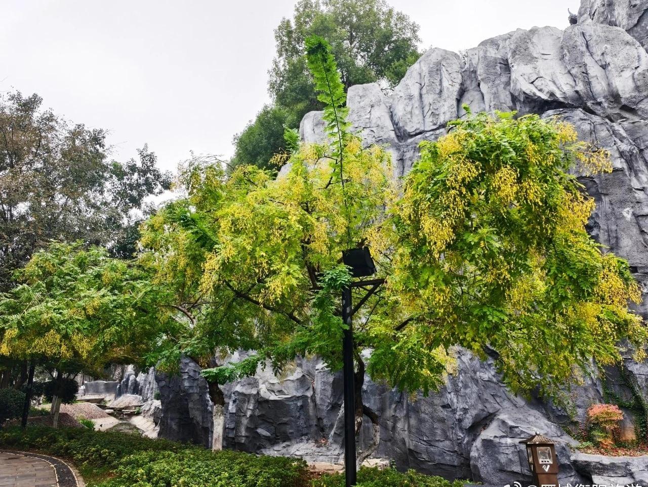 好消息！衡阳将迎来四天回暖天气，气温逐日回升周末冷空气将再度来袭。 ​​​