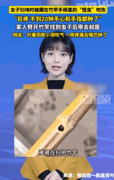 太吓人了！四川雅安一女子扫地时竟被竹扫把柄里窜出的“竹蜂”毒虫狠狠咬伤，二十分钟