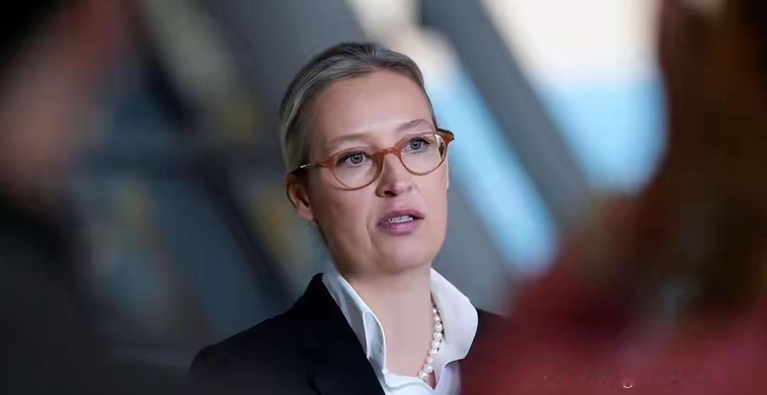 2026年1月北溪案的瓜越吃越大，德最高法院一纸裁定，锤实北溪爆炸是乌情报机构主