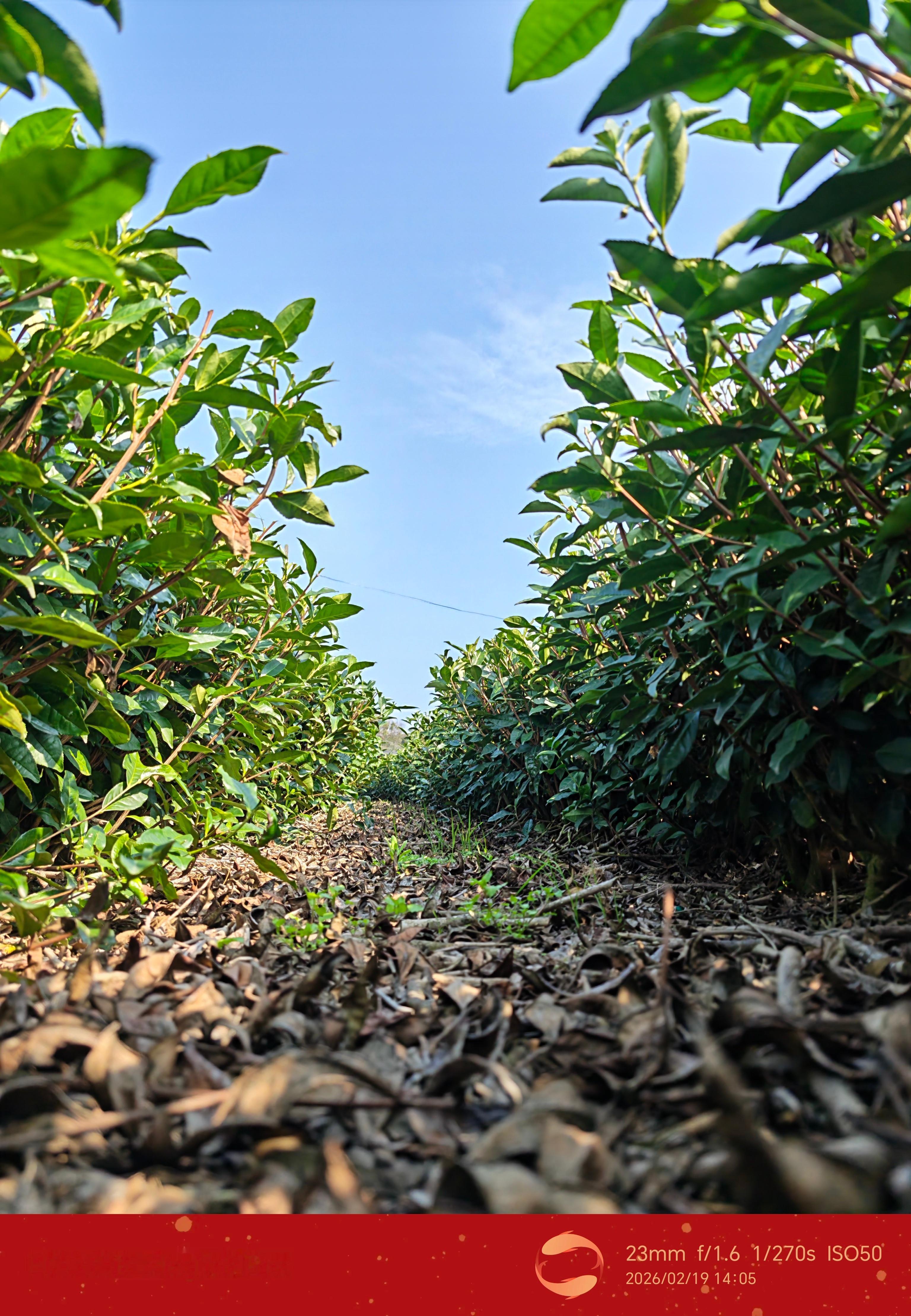 为什么手机APP越来越臃肿现在的APP缓存严重，无论是微信，还是抖音，小红书，只
