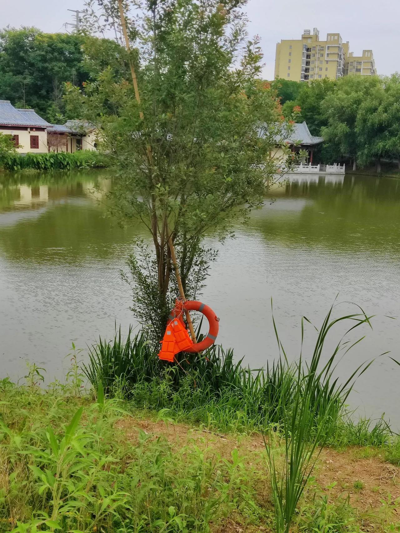 逛公园有感：希望这些救生设施，永远都用不上
 
逛公园，看到水塘边挂着的救生圈、