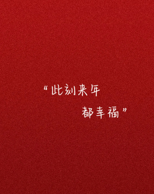 2025最后一天文案 今年晚安~~”01.“开心的事，在年终总结  不开心的事，