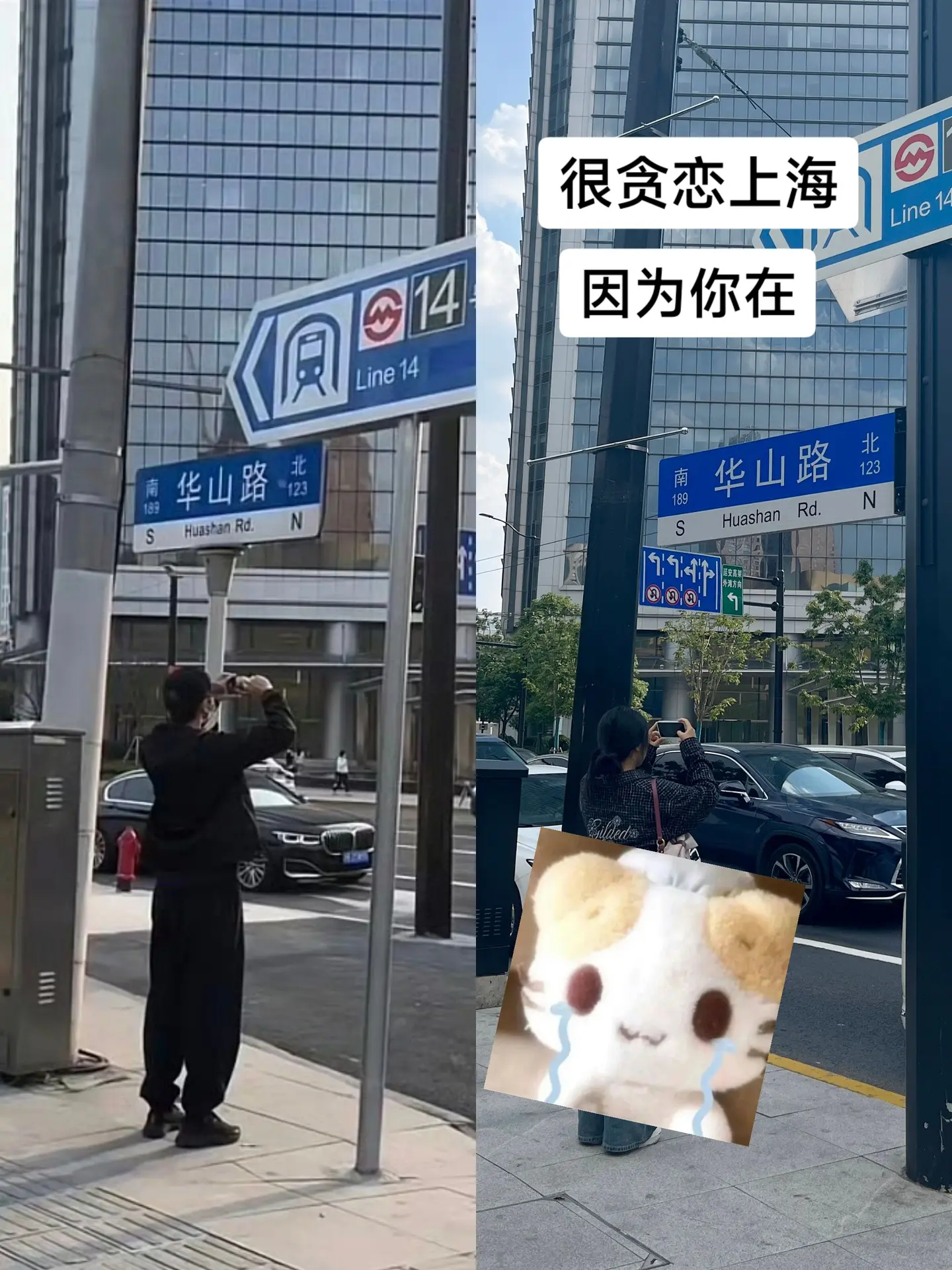 我的生命里有你的痕迹