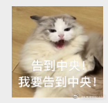已老实？ 