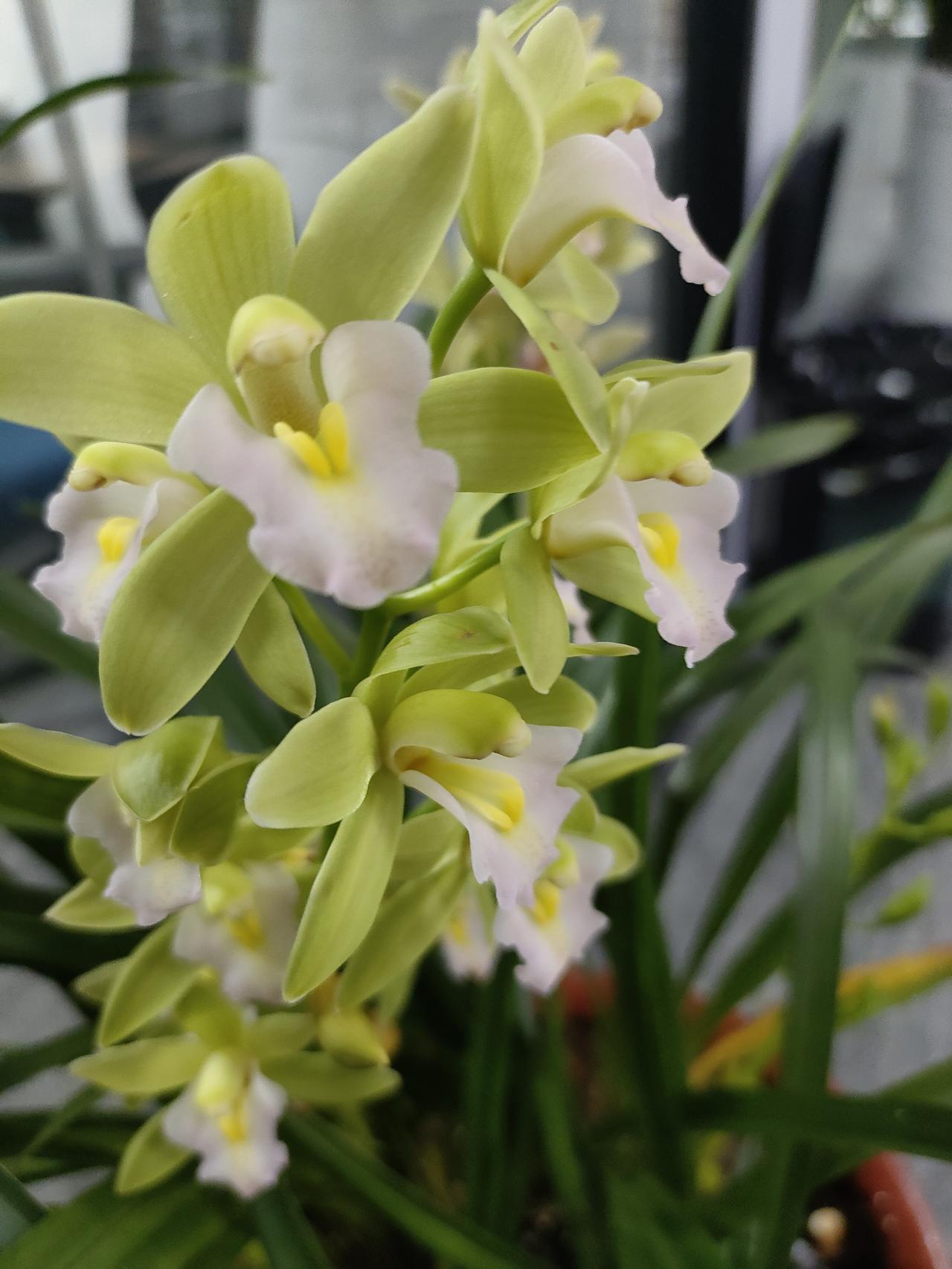 冬日生活打卡季