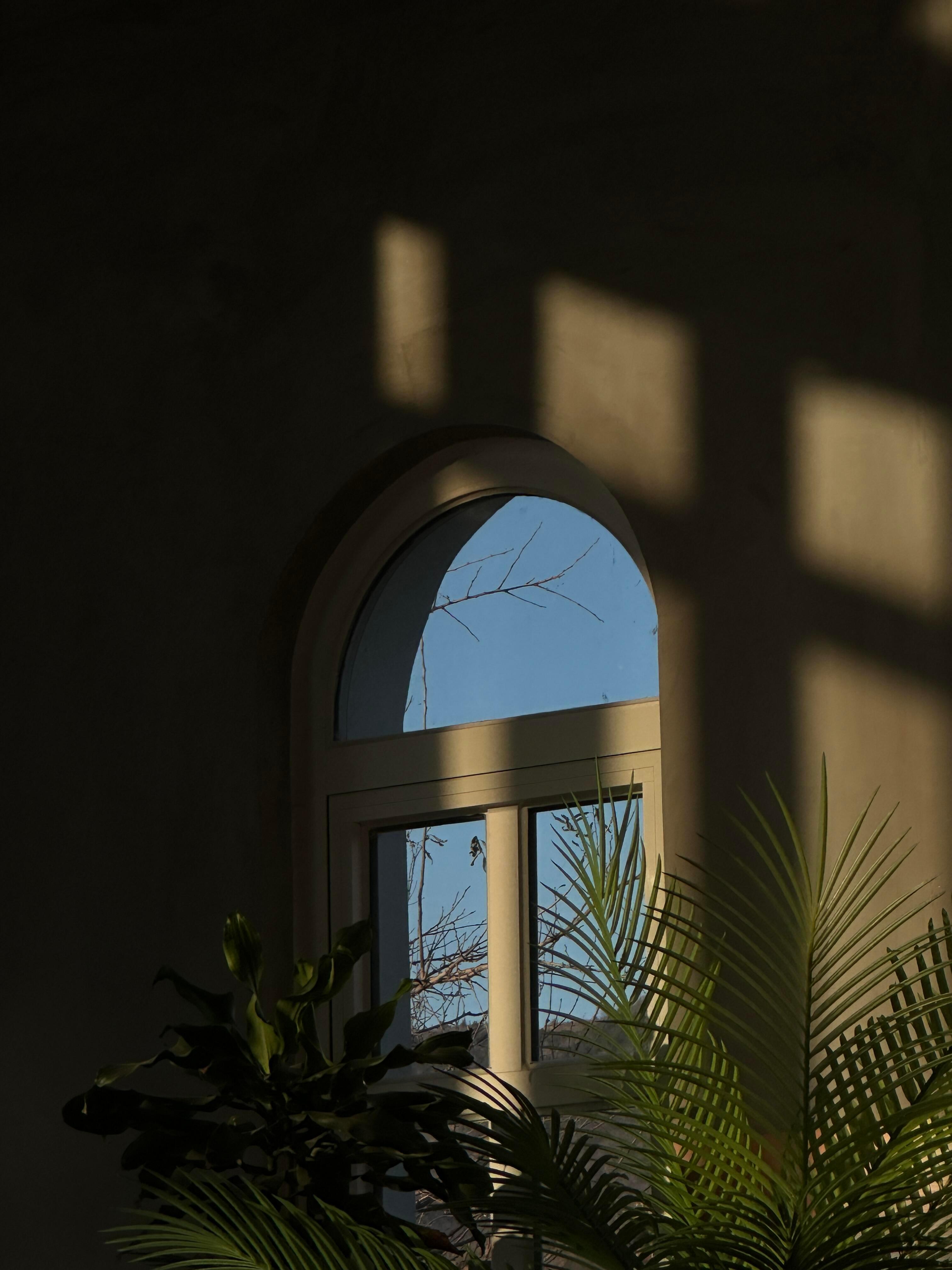 📸༉‧₊˚照片涂鸦 ˶✍自由和快乐应该永远被置顶 