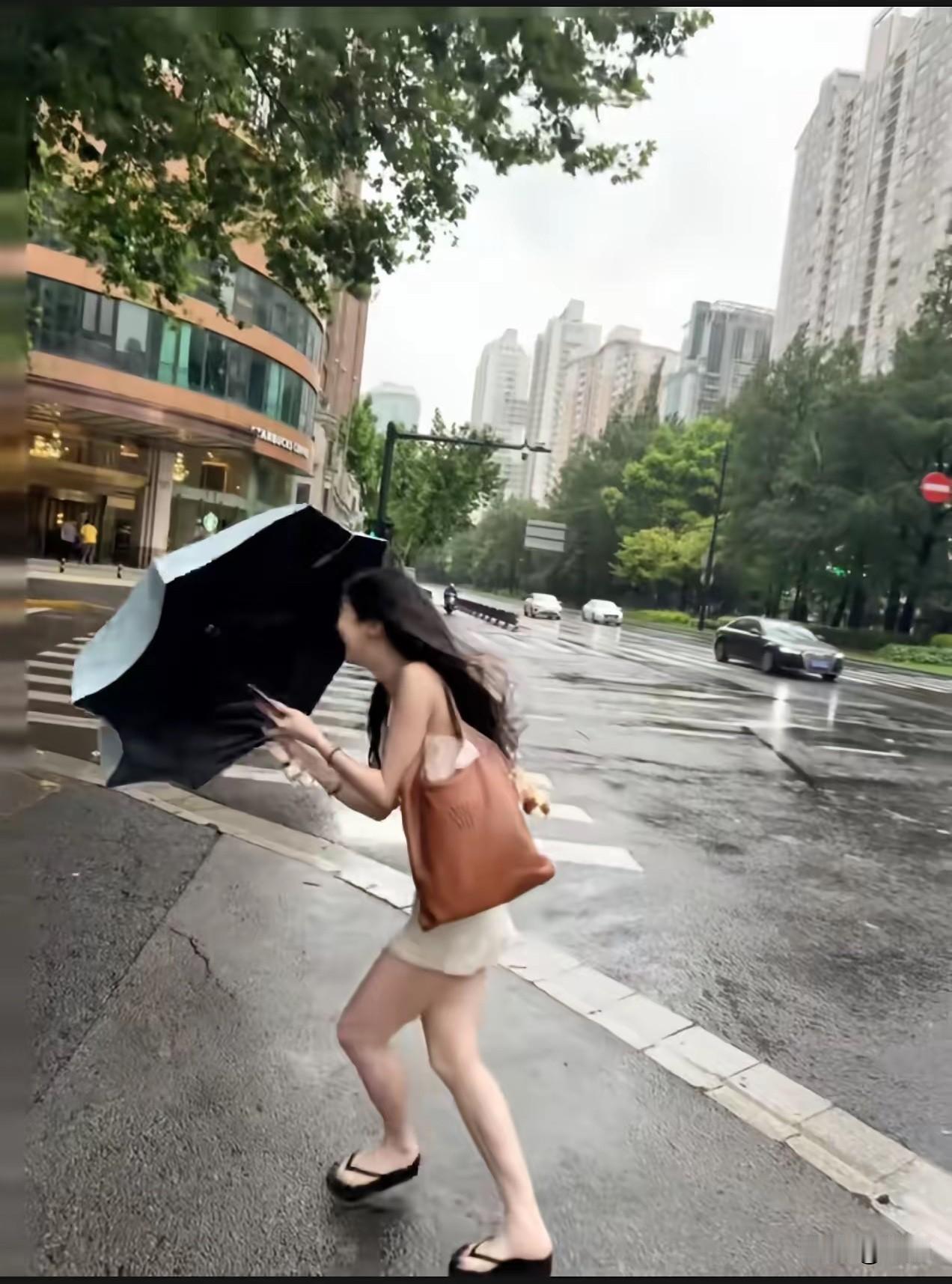 你们那边的风有多大？