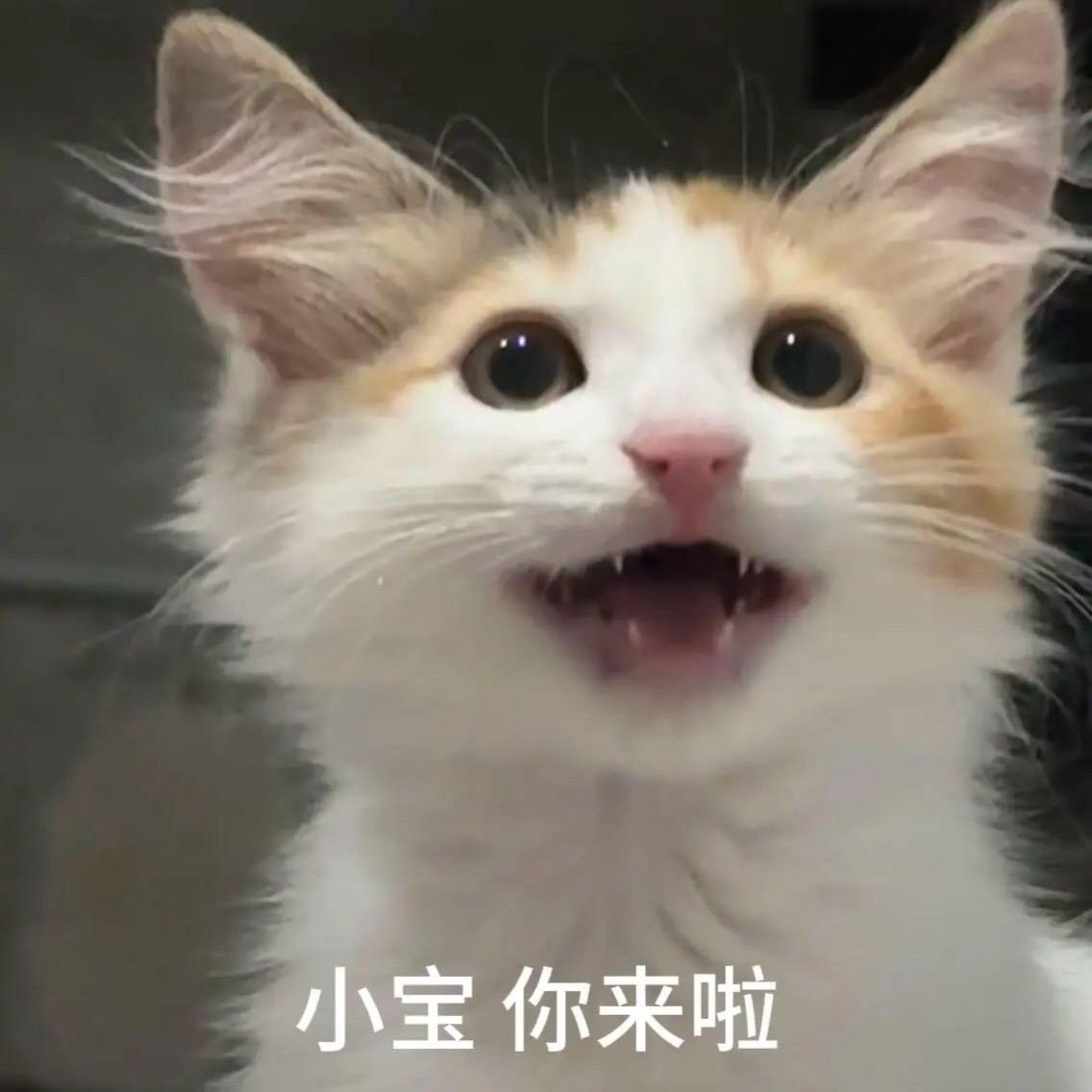 我讨厌坏天气～